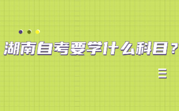 湖南自考要學什么科目？